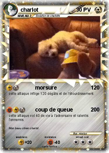 Pokemon charlot