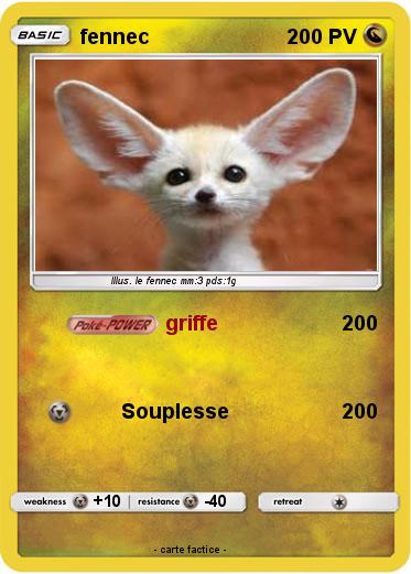 Pokemon fennec