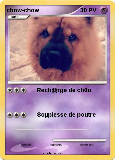Pokemon chow-chow