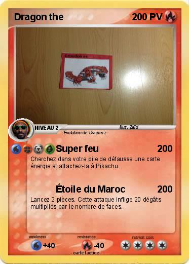 Pokemon Dragon the