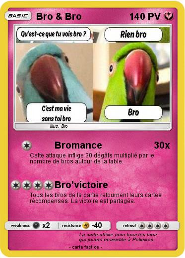 Pokemon Bro & Bro
