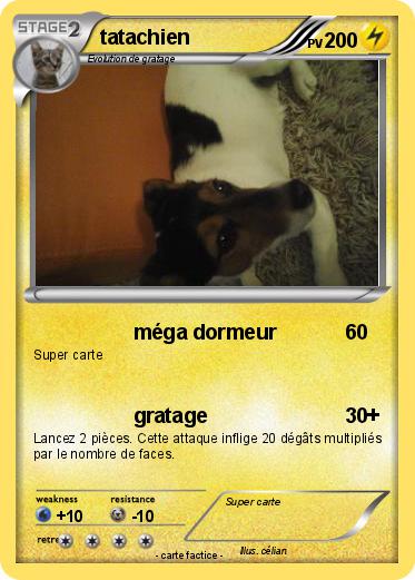 Pokemon tatachien