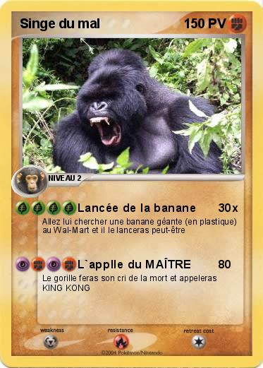 Pokemon Singe du mal