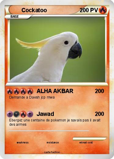 Pokemon Cockatoo