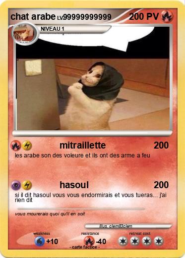 Pokemon chat arabe