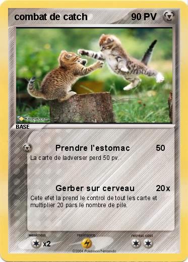 Pokemon combat de catch