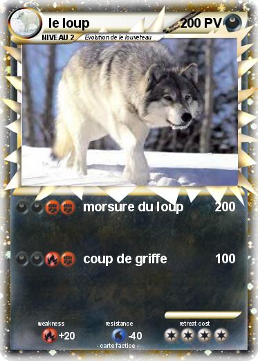 Pokemon le loup