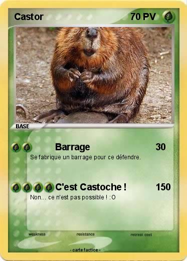 Pokemon Castor