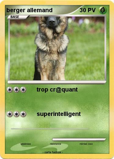 Pokemon berger allemand