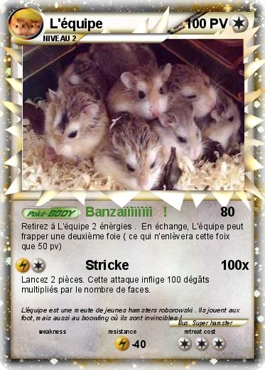 Pokemon L'équipe