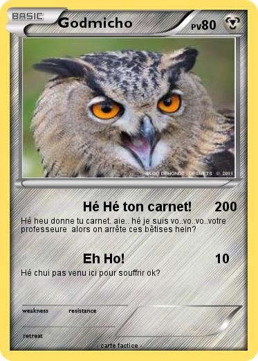 Pokemon Godmicho