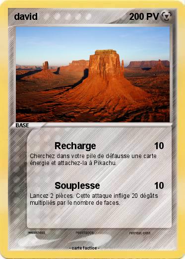 Pokemon david