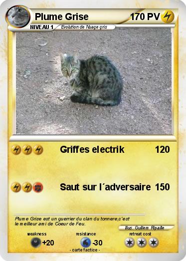 Pokemon Plume Grise