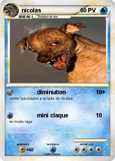 Pokemon nicolas