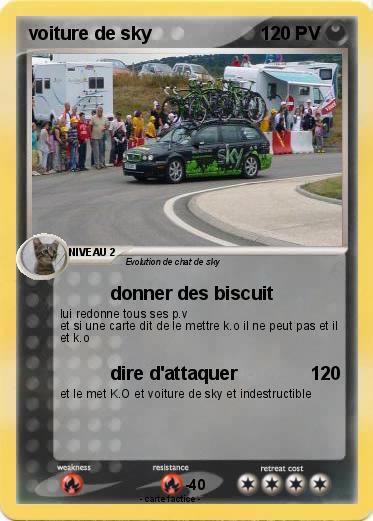 Pokemon voiture de sky