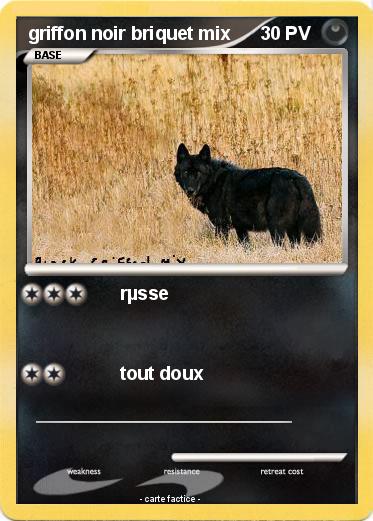 Pokemon griffon noir briquet mix