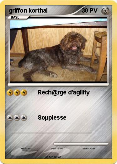 Pokemon griffon korthal