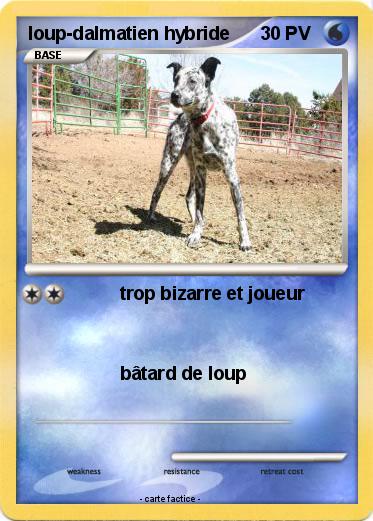 Pokemon loup-dalmatien hybride