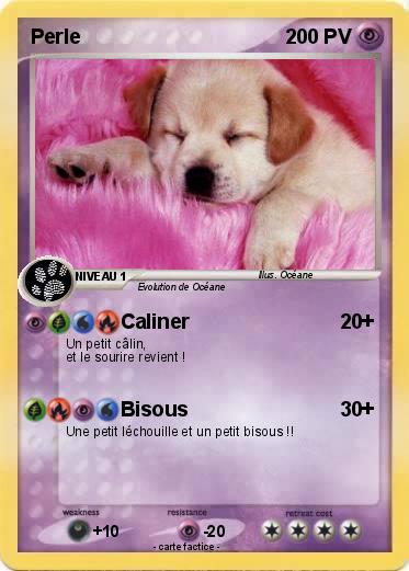 Pokemon Perle