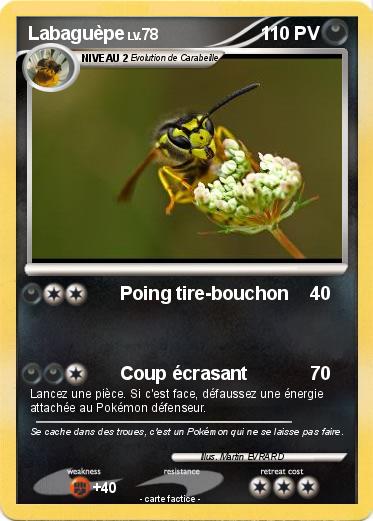 Pokemon Labaguèpe
