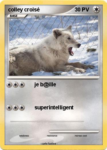 Pokemon colley croisé