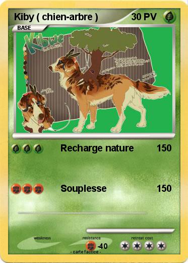 Pokemon Kiby ( chien-arbre )
