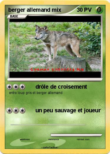 Pokemon berger allemand mix