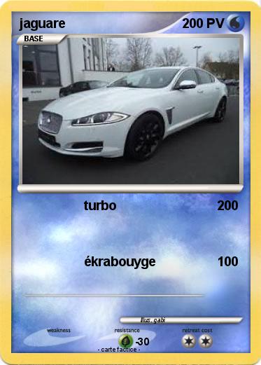 Pokemon jaguare