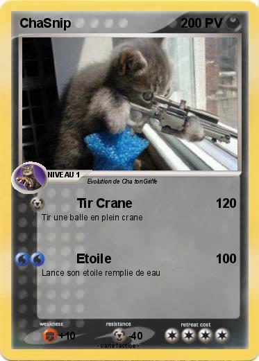 Pokemon ChaSnip