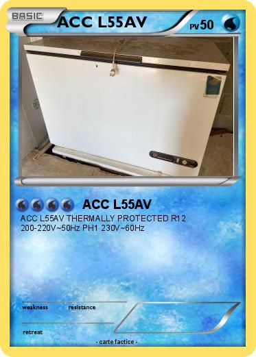 Pokemon ACC L55AV