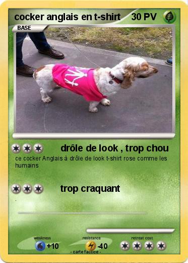 Pokemon cocker anglais en t-shirt