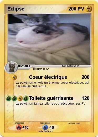 Pokemon Éclipse