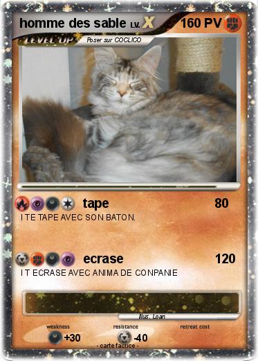 Pokemon homme des sable