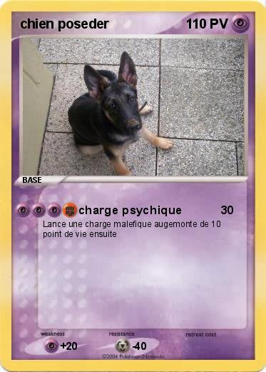 Pokemon chien poseder