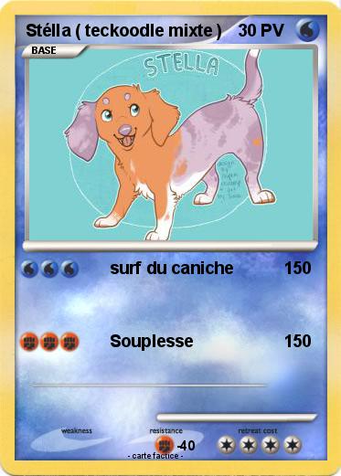 Pokemon Stélla ( teckoodle mixte )