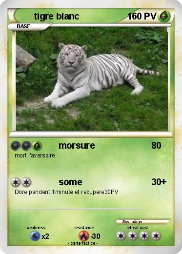 Pokemon tigre blanc