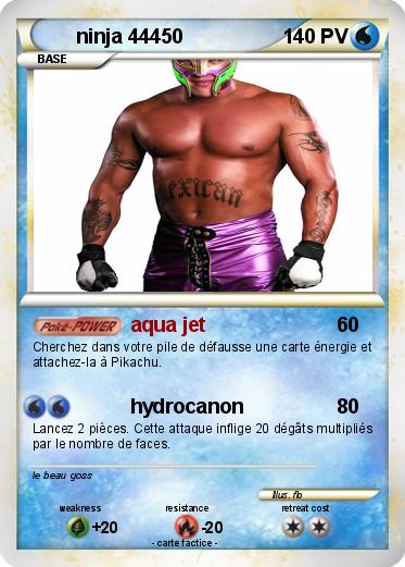 Pokemon ninja 44450