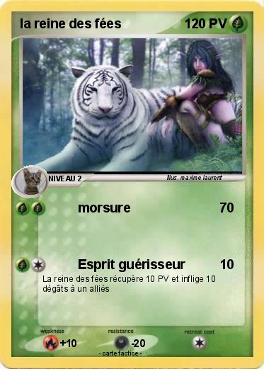 Pokemon la reine des fées