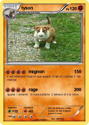 Pokemon tyson