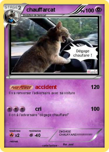 Pokemon chauffarcat