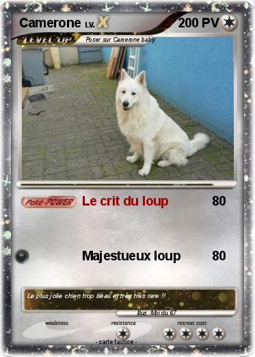 Pokemon Camerone