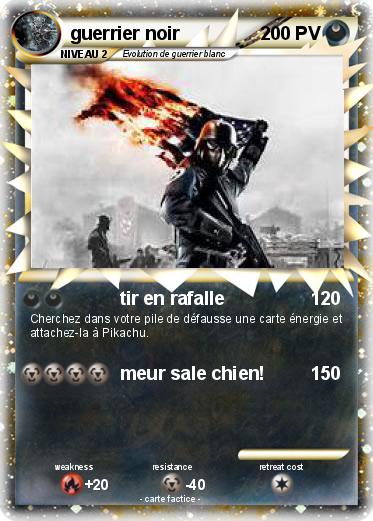 Pokemon guerrier noir