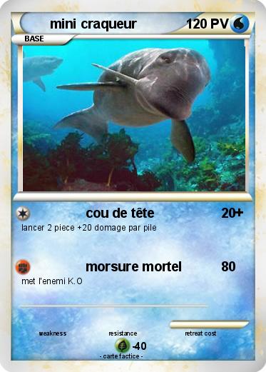 Pokemon mini craqueur