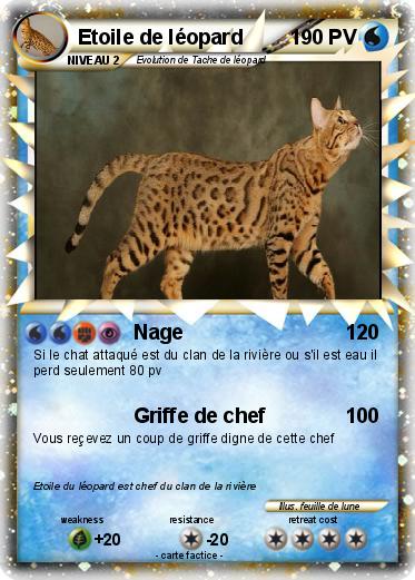 Pokemon Etoile de léopard
