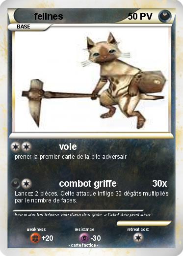 Pokemon felines