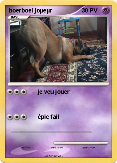 Pokemon boerboel joµeµr