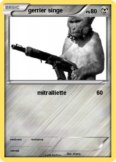 Pokemon gerrier singe