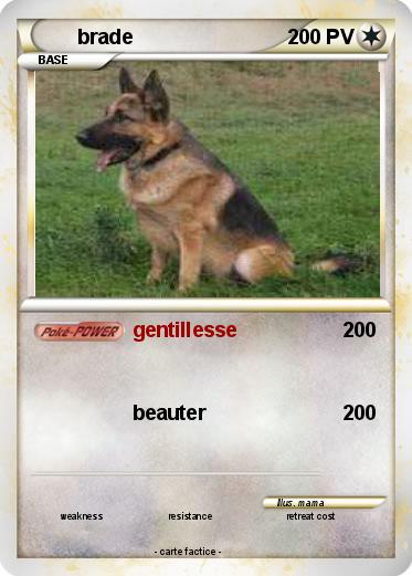 Pokemon brade
