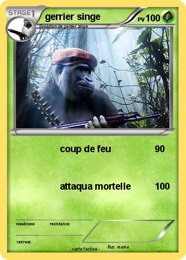 Pokemon gerrier singe
