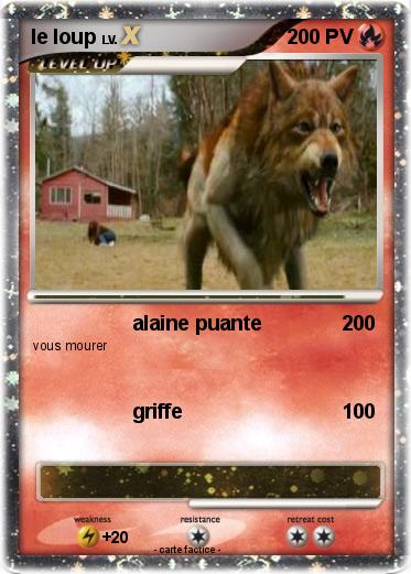 Pokemon le loup